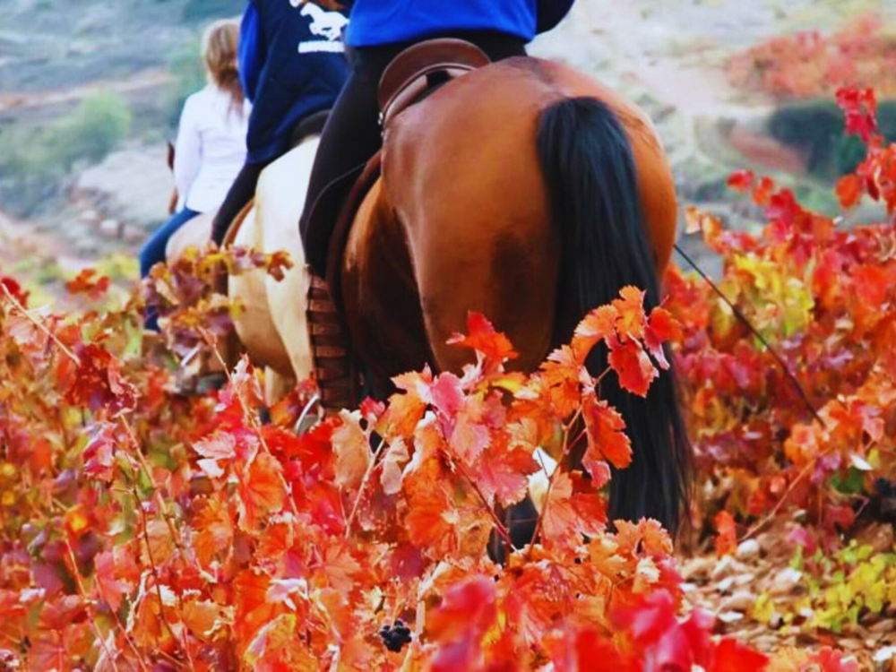 paseos a caballo en Valencia