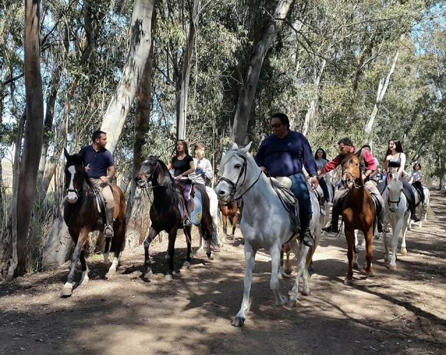 paseos a caballo en Valencia