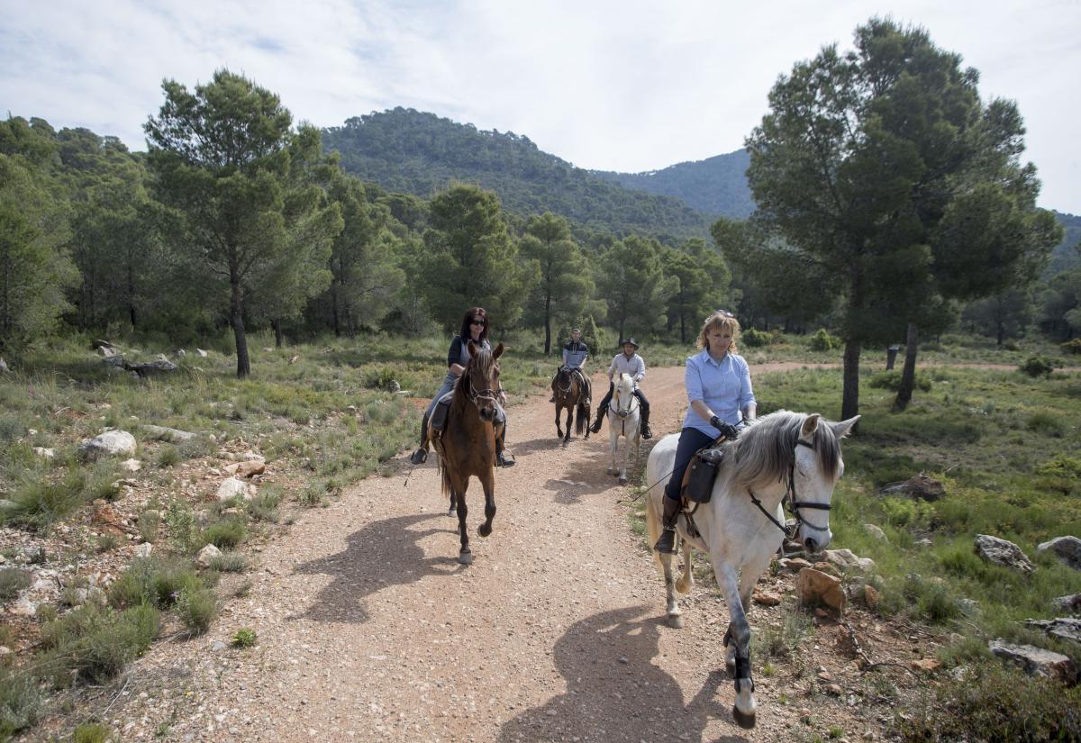 paseos a caballo en Valencia