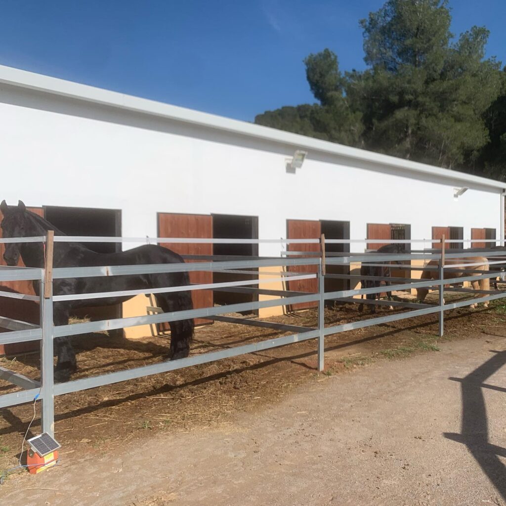 montar a caballo en Valencia